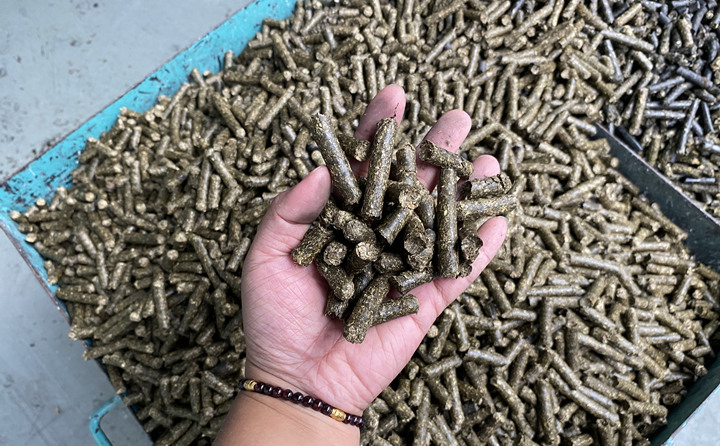 木屑制粒機生物顆粒真正實現燃料變廢為寶 木屑制粒機生物顆粒真正實現燃料變廢為寶
